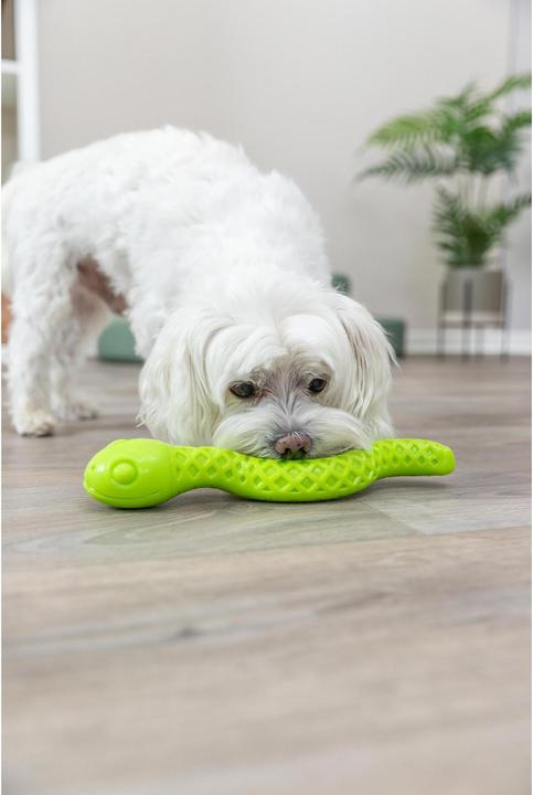 Actual product image Trixie Dog Toy Snack Snake, 27 cm, Green (Dog chew toy)