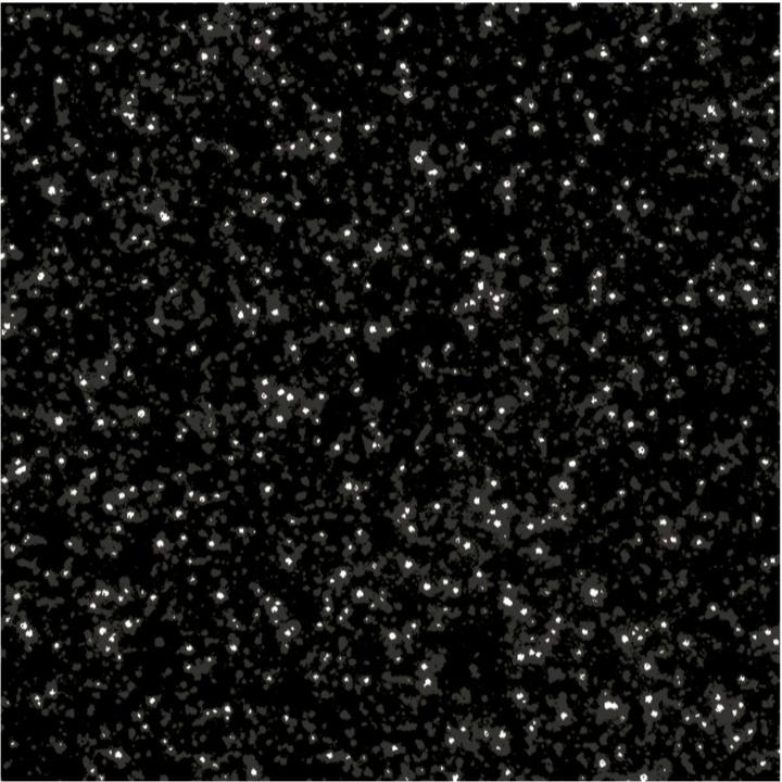 Produktbild Folia Moosgummi