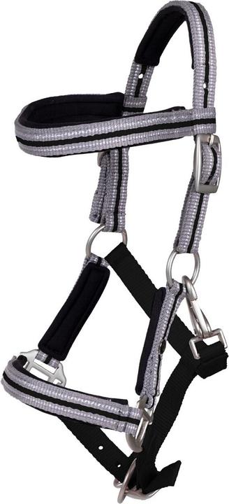 Qhp Licol pour poulain avec frontal