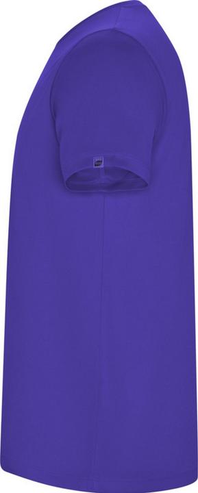 Immagine prodotto Alpinia Imola Maglietta Sportiva Maniche Corte Uomo (L)