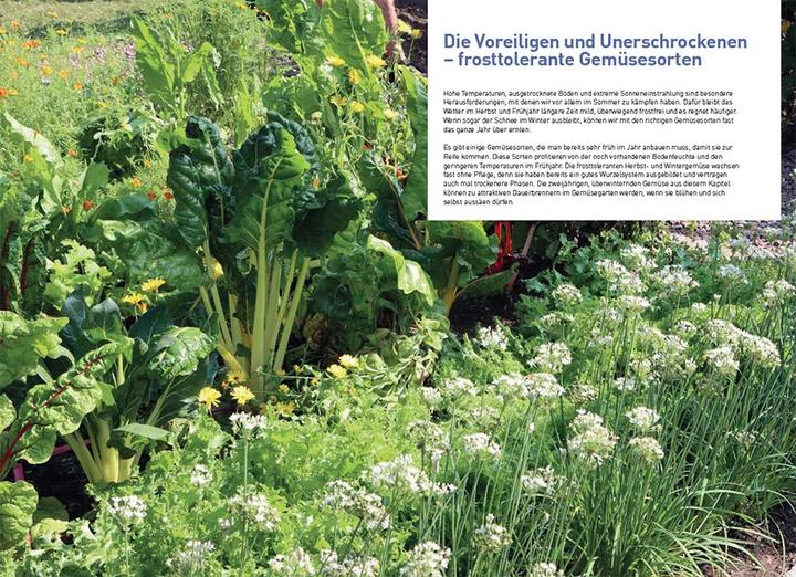 Immagine prodotto Verdure che rispettano il clima (Tedesco, Sigrun Hannemann, 2024)