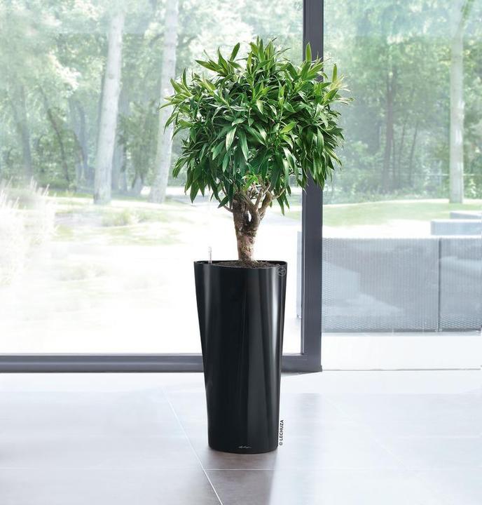 Produktbild Lechuza Delta (29 x 56.50 cm)