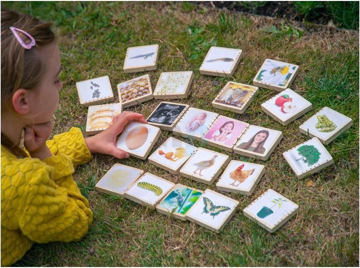 Actual product image TickiT Wooden life sequence picture tiles
