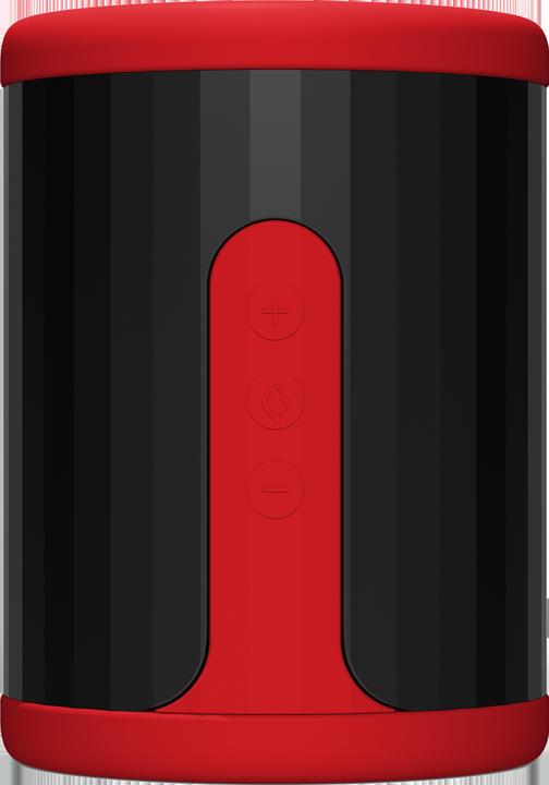 Actual product image LELO F2S