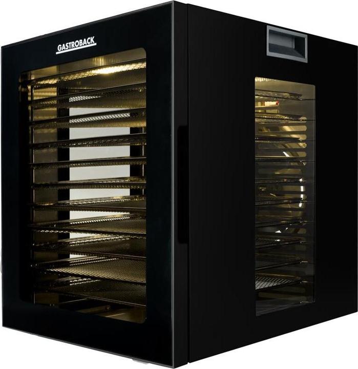 Gastroback 46605 Design Dehydrator Vision Pro