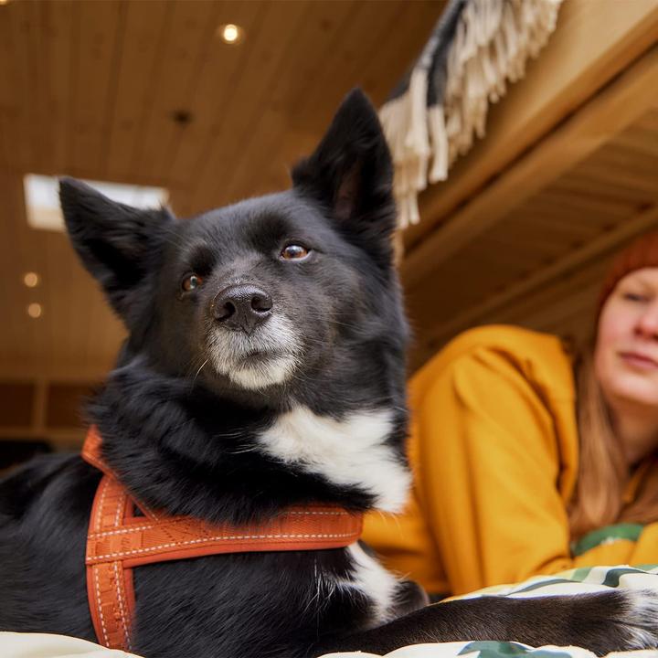 Actual product image Hurtta Casual harness ECO, 50-60 cm, ruby (Dog)