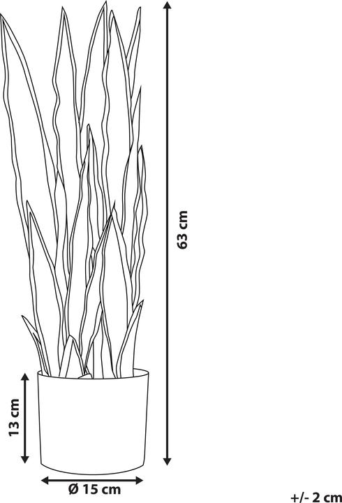 Immagine prodotto Beliani Snake Plant (63 cm)