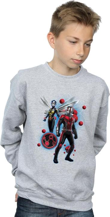 Image du produit Sweat Garçons Ant-Man And The Wasp Particle Pose (152, 158)