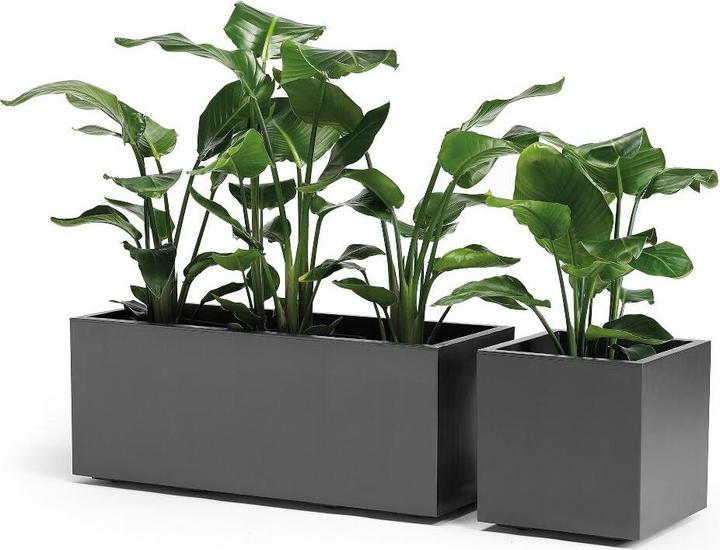 Immagine prodotto Euro3plast Kebe più verde (39.50 cm)