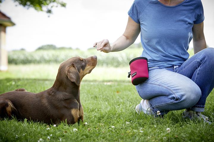 Actual product image Wolters Neoprino grab bag (Agility)