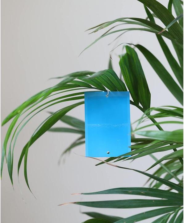 Actual product image Andermatt Biogarten Blueballs