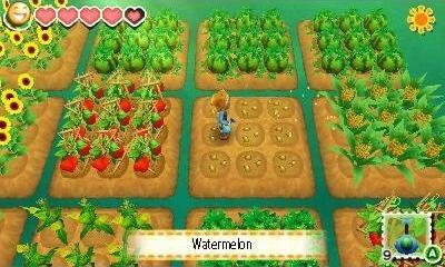 Produktbild Nintendo Story of Seasons: Trio of Towns (3DS)