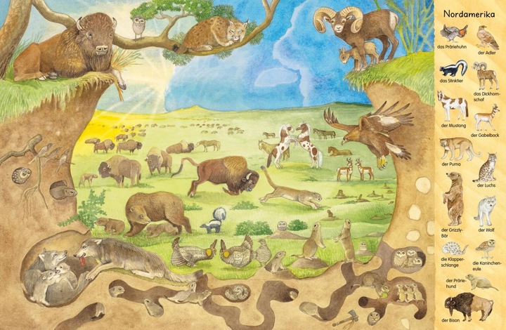 Produktbild Mein erstes Wimmelbuch: Tiere aus aller Welt (Deutsch)