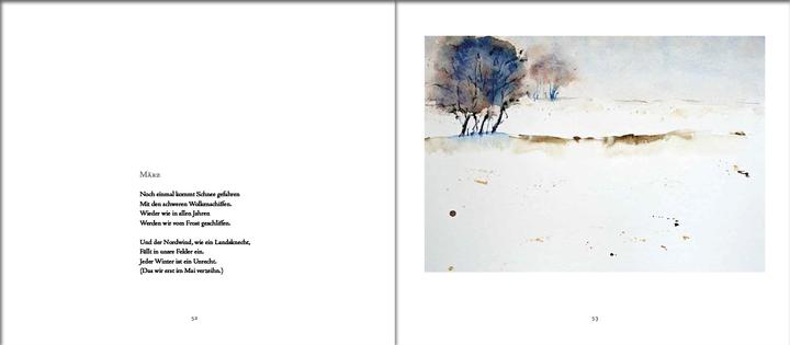 Image du produit Märkischer Juni (Allemand, Eva Strittmatter, 2013)