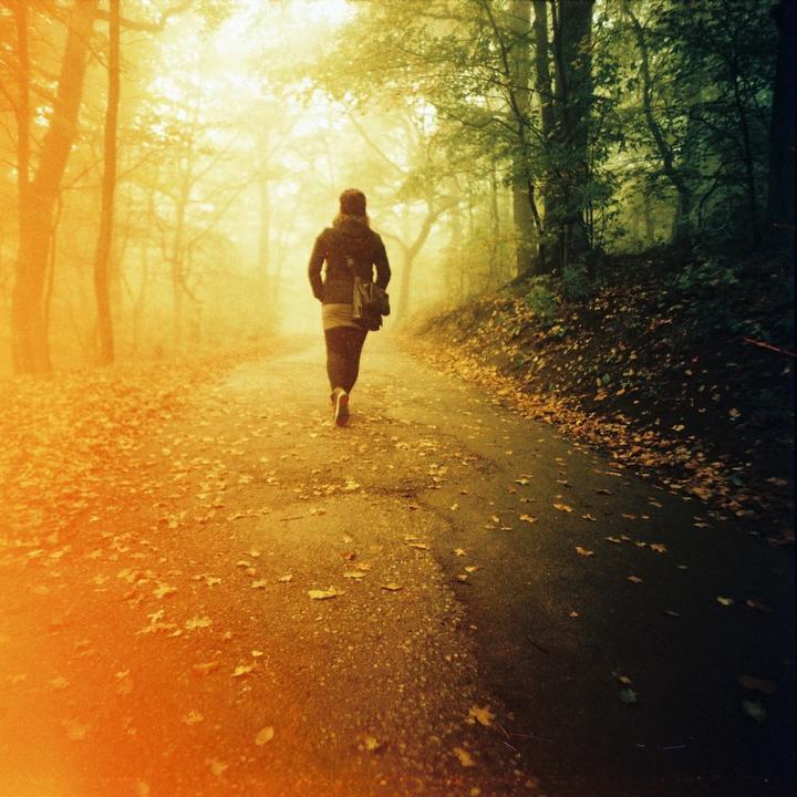 Image du produit Lomography Lc-A 120