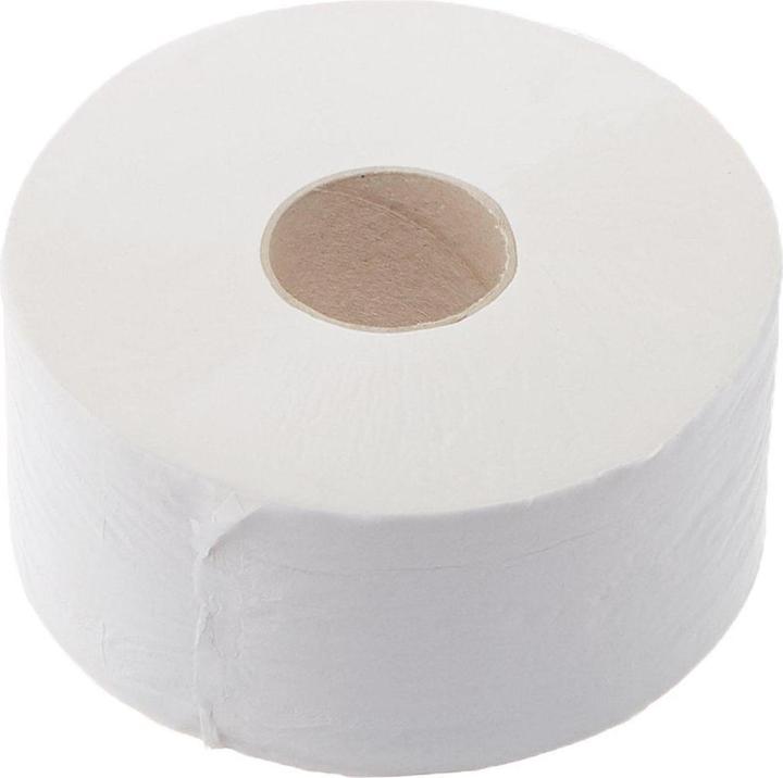 Essity Toiletpapier Neutraal Advanced Jumbo Mini T2 2-slag Ø18,8 cm 170 m Hvid,12 rl/krt (12 Pcs.)