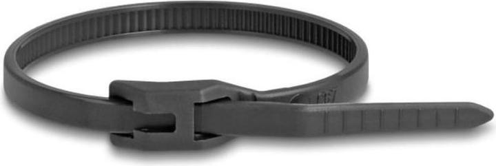Immagine prodotto Delock Fascette con testa piatta L 110 x L 2,5 mm 100 pezzi nero (110 mm, 100 pz.)