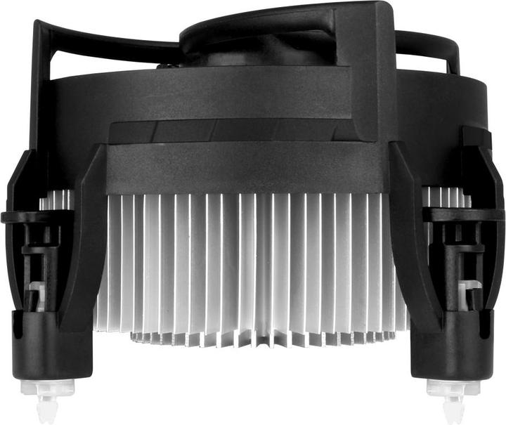 Image du produit Arctic Alpine 12 (77 mm)
