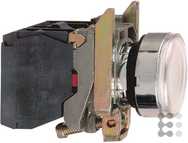 Schneider Electric Drucktaster XB4BW31B5