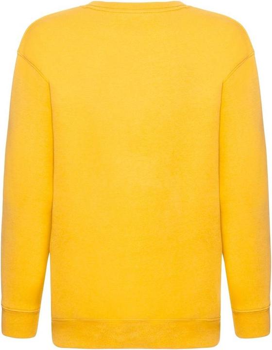 Produktbild Fruit of the Loom Pullover Premium 7030 (2 StückPackung) (164)