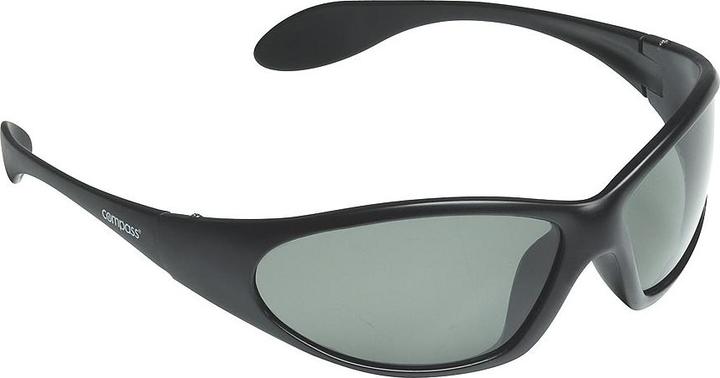 Actual product image Compass Classic's Sunglasses