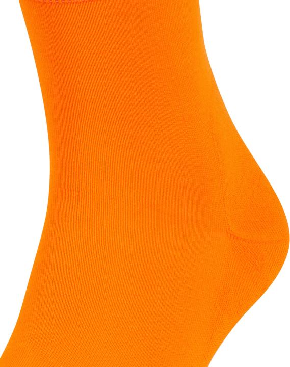 Produktbild Falke Run SO (Einzelpack, 37 - 38)