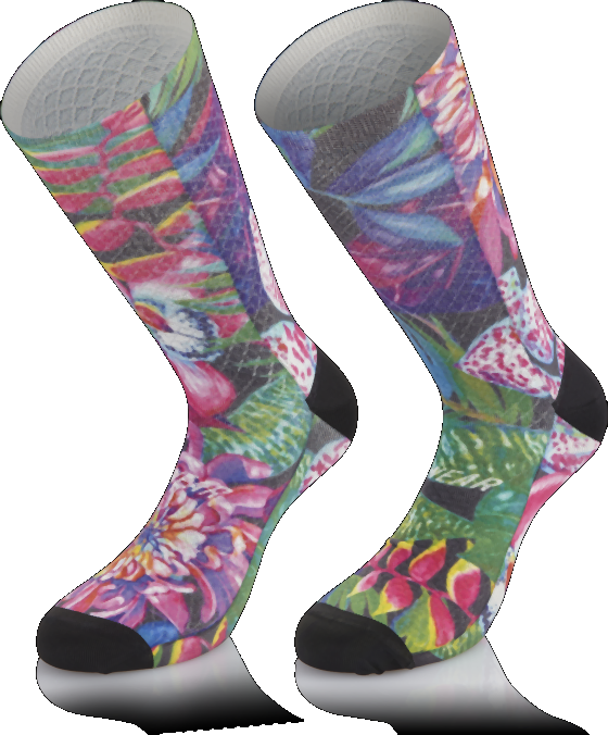Fleurs tropicales