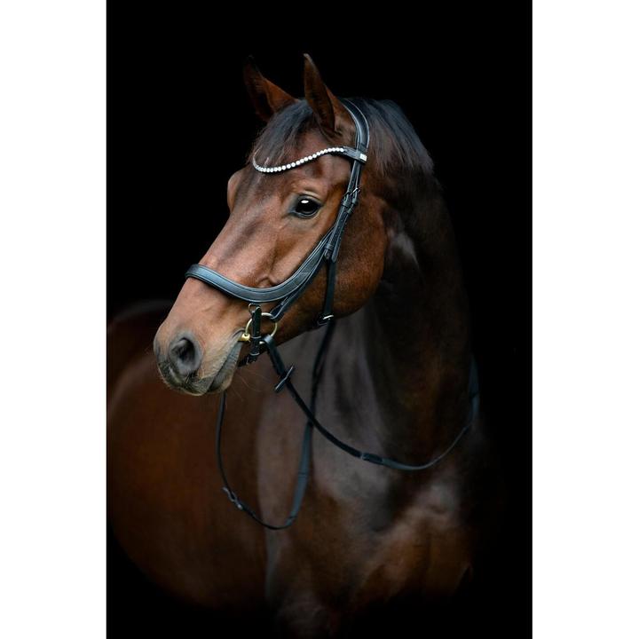 Image du produit Horse Guard Vinja