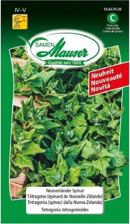 Immagine prodotto Samen Mauser Semi di spinaci della Nuova Zelanda (Semi di verdura)