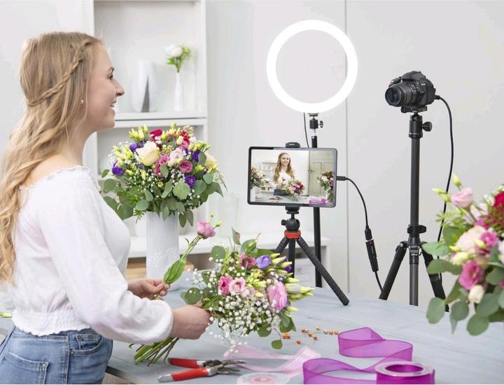 Produktbild Hama Video-Aufnahme-Stick (Mac, PC)