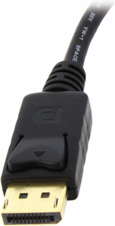 Immagine prodotto StarTech DisplayPort chiuso (DVI, 25.40 cm)