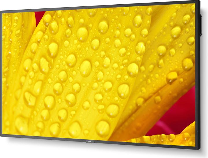 Produktbild Sharp M501-2 50IN UHD 500CD/QM (3840 x 2160 Pixel, 50")