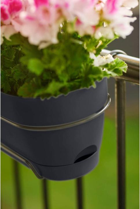Produktbild Elho Vibia Campana Allin1 (26 cm)