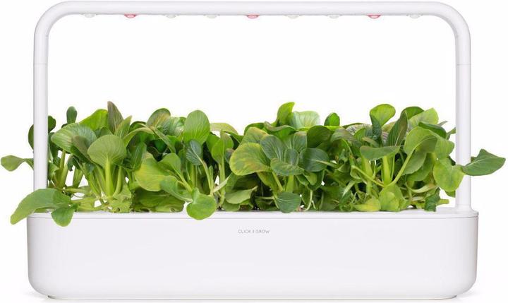 Produktbild Click and Grow Saatgut Pak Choi (Gemüsesamen)