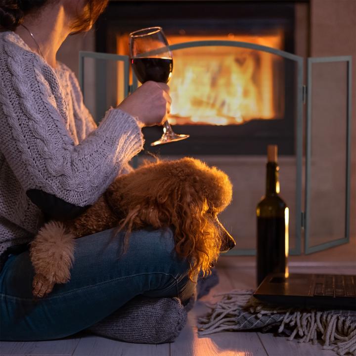 Image du produit Relaxdays Grille pare-étincelles (96 x 1 x 62 cm)