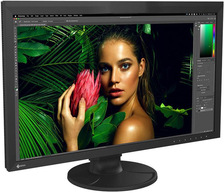 Immagine prodotto Eizo CG2700S ColorEdge (2560 x 1440 pixel, 27")