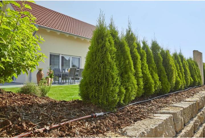 Productafbeelding Gardena MDS Start Set Plantrijen M (Set druppelirrigatie)
