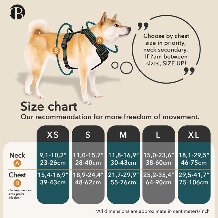 Produktbild Bluzelle Hundegeschirr Kleine Hunde, - XS, mit Griff & Tasche, Reflektor Anti-Zug (XS, Hund, Spazieren)