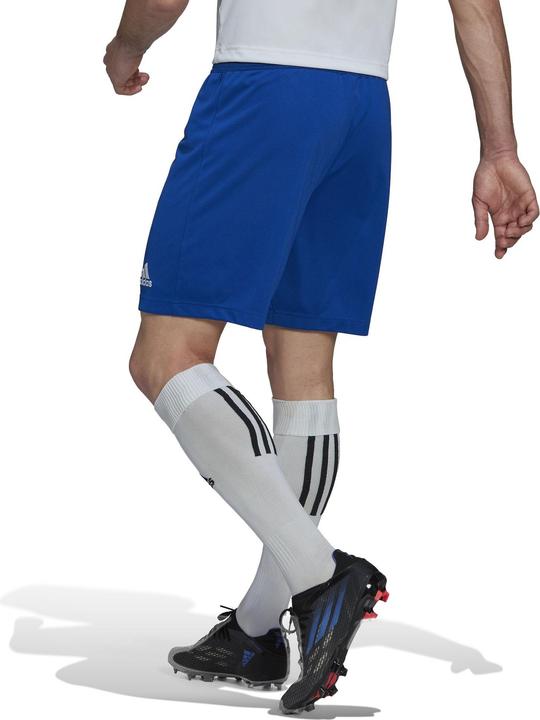 Produktbild adidas Entrada 22 Shorts Herren (XL)