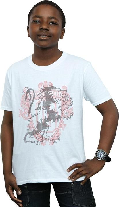 Actual product image Boys Gryffindor Lion Crest T-Shirt (152, 158)