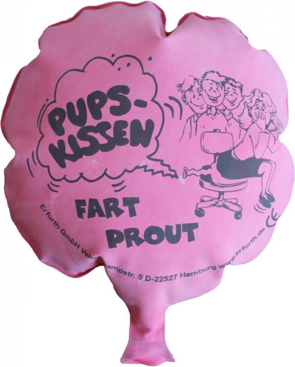 Immagine prodotto Erfurth Cuscino per la cacca