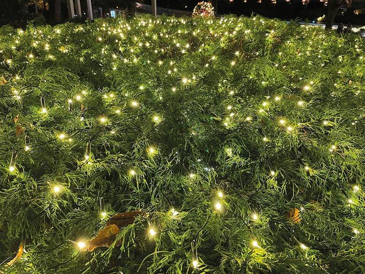 Actual product image Vellight SUBRA LED - Subra start - 2 x 2 m - 144 LEDs - warm white - black cable - 230 V (2 m)
