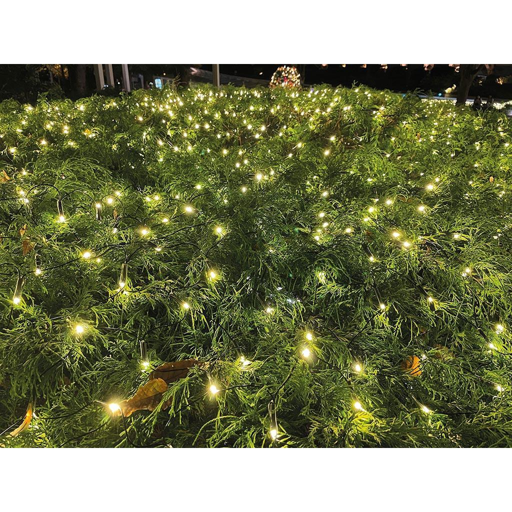 Thumbnail - Vellight, Lichterkette, SUBRA LED - Subra start - 2 x 2 m - 144 LEDs - Warmweiss - schwarzes Kabel - 230 V (2 m)