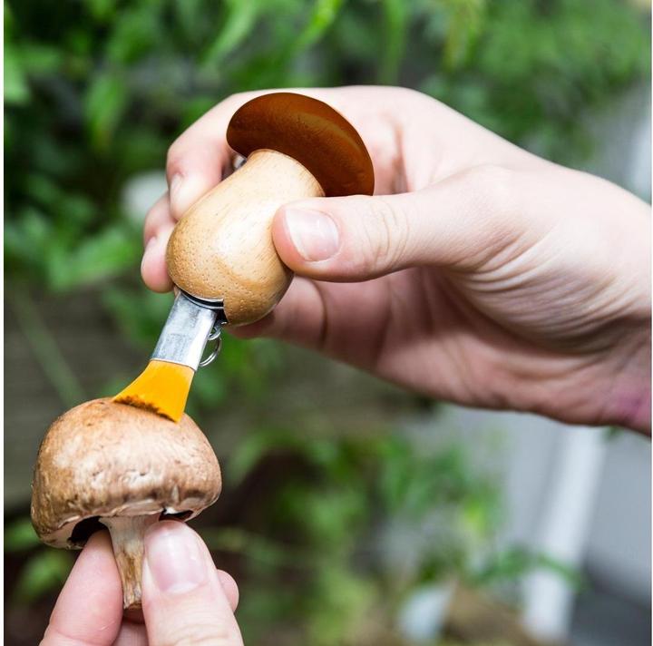 Immagine prodotto Kikkerland Strumento per funghi