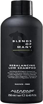 Actual product image Alfaparf Blends Of Many Rebalancing (250 ml, Liquid shampoo)
