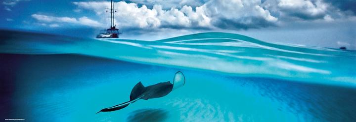 Immagine prodotto Heye Panorama di Stingray Humboldt (1000 pezzi)