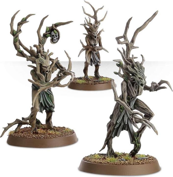 Immagine prodotto Games Workshop Warhammer AoS - Battleforce Noel 2025 Sylvaneth : Fielbosquet de Parias (Materiale sintetico)
