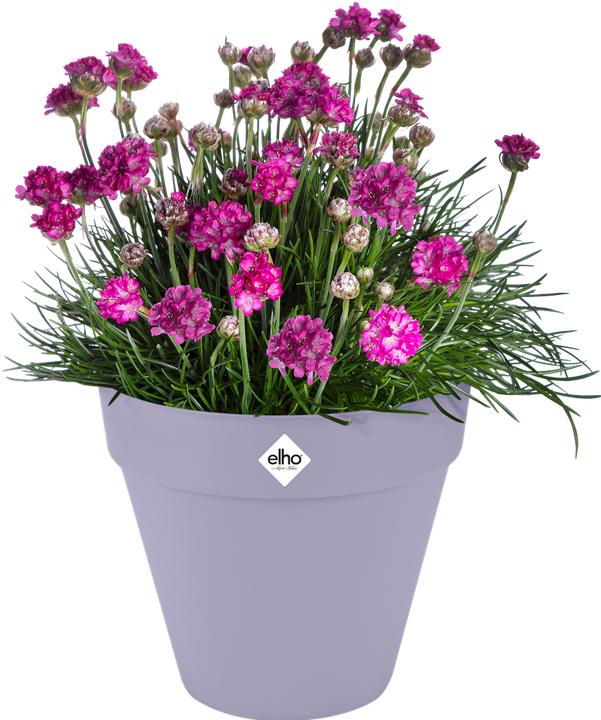Actual product image Elho Loft Urban Round (30 x 26 cm)