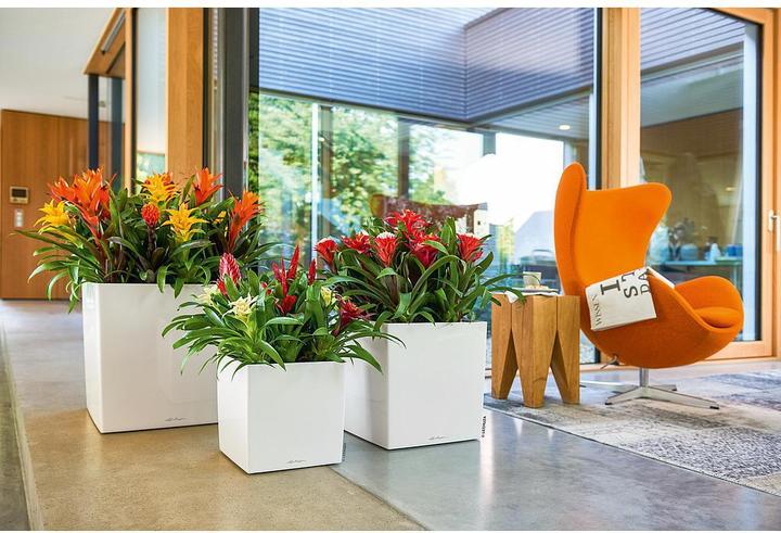 Produktbild Lechuza Cube (39 x 39 x 40 cm)