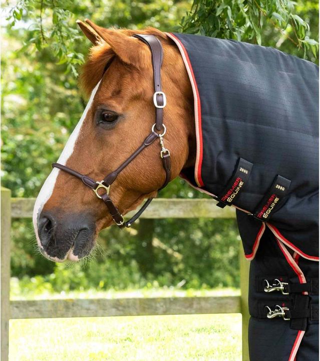 Immagine prodotto Premier Equine Stable Buster 200g
